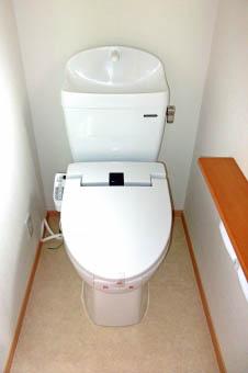 Toilet Voyeur (トイレ盗撮)