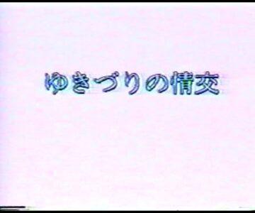 【無】　御藤静 ゆきずりの情交　【旧作】