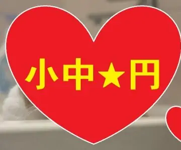 小中★円 ４人分 危険すぎる動画！ ３０本限定！エス子とシイ子♥♥