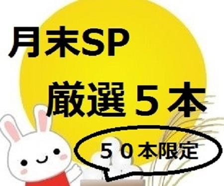 厳選5本！ 限定販売(かなり可愛い自慢の炉)早期終了！！月末値下げ
