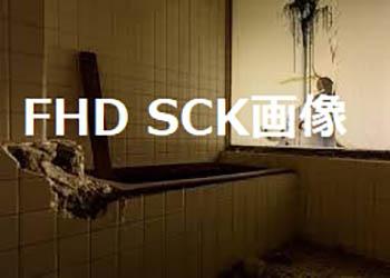 FHD SCK画像