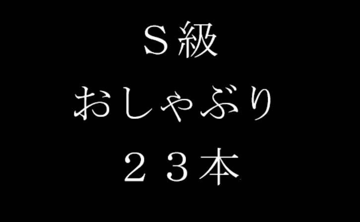 S級笛動画【１時間１３分】
