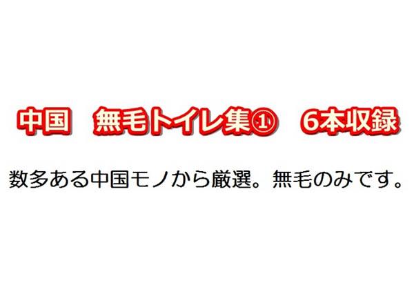 顔アリ中国トイレ【無毛】のみ厳選集①《ウンコあり6人分クッキリ》
