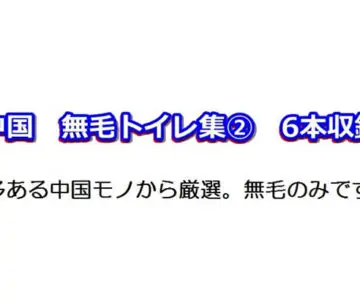 顔アリ中国トイレ【無毛】のみ厳選集②《アップで見る6人分クッキリ》