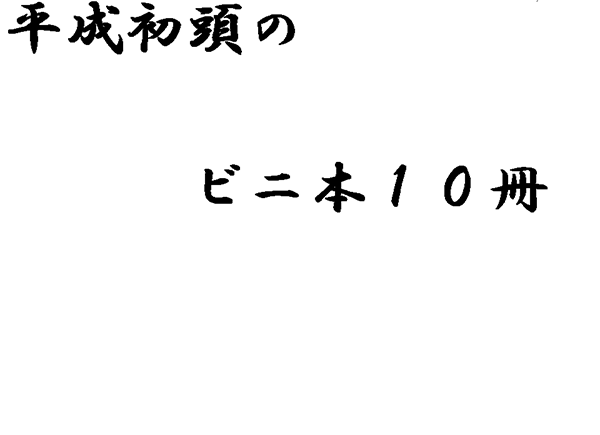 【秘蔵】平成初頭のビニ本10冊
