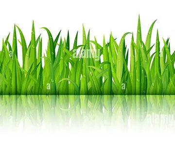 月末限定・草むら (帰り道に連れ込み)何人も・・・