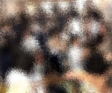 修学系