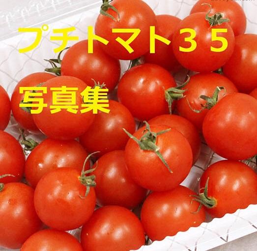 プチトマト３５　写真集

