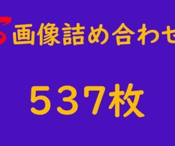 S画像詰め合わせ 537枚