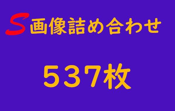 S画像詰め合わせ 537枚
