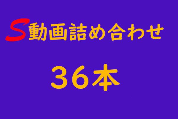 S動画詰め合わせ 36本
