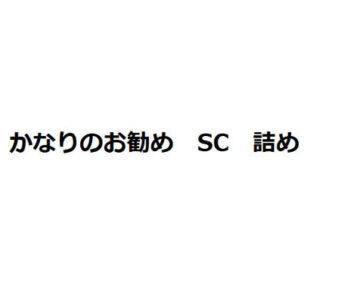 かなりお勧め　SC 詰め