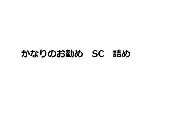 かなりお勧め　SC 詰め
