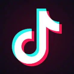 消されてしまったTikTok集④
