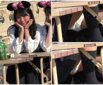 制服JKパンチラ逆さ撮り 夢の国編 No.9