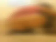 超～ろりっこトイレ