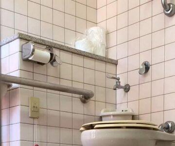 Cのトイレ見え