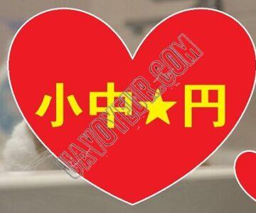小中★円 ４人分 危険すぎる動画！ ３０本限定！エス子とシイ子♥♥